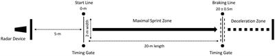 Relationship Between Explosive Strength Capacity of the Knee Muscles and Deceleration Performance in Female Professional Soccer Players